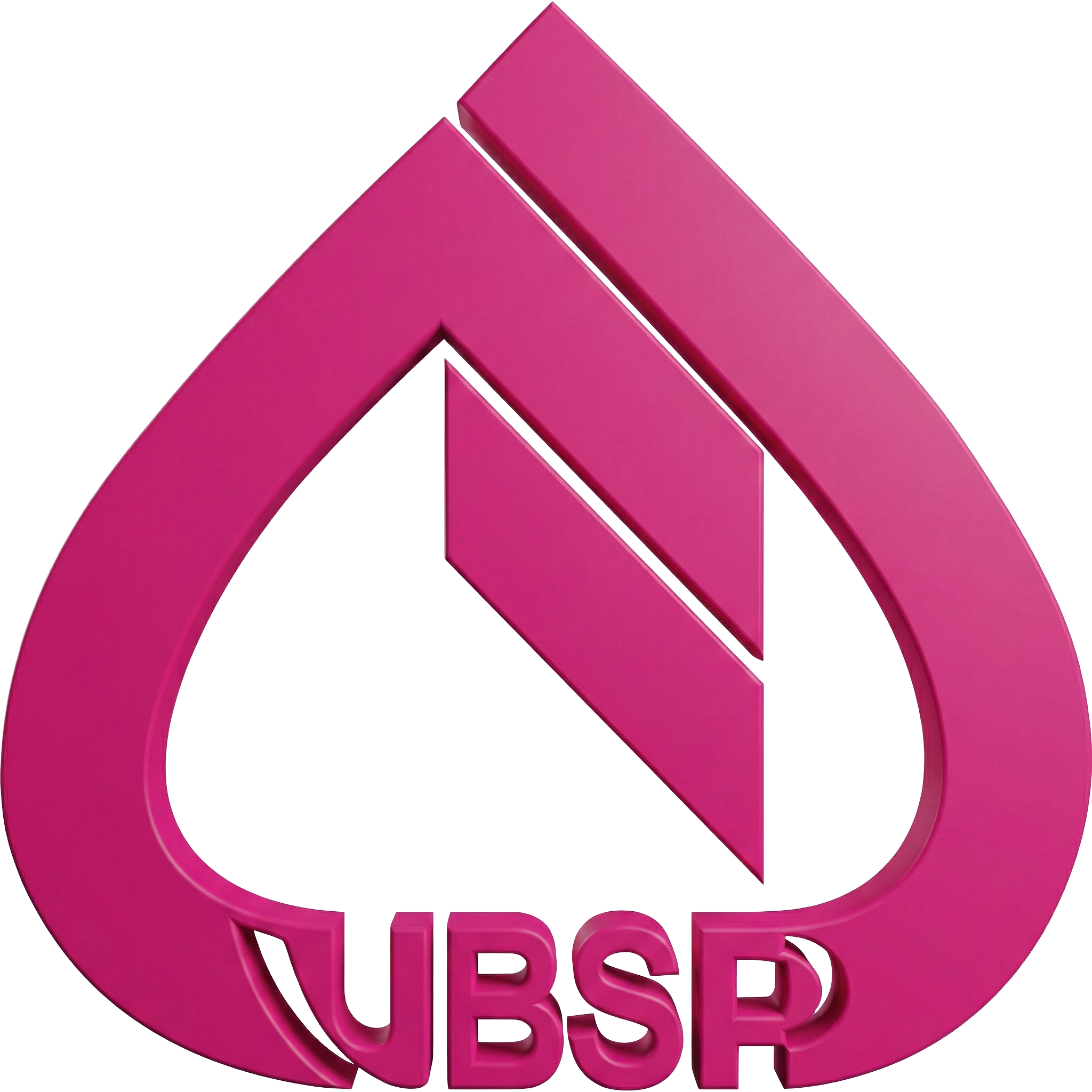 VBSP Logo
