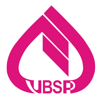 VBSP Logo